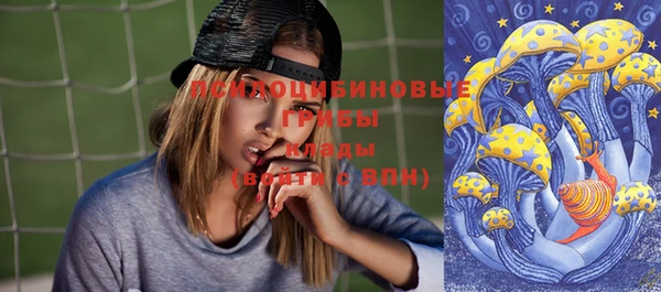 метадон Горняк
