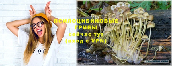 гашик Вязники