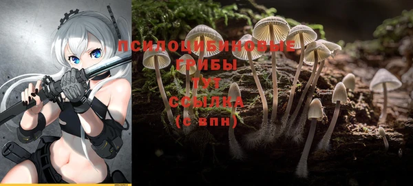 кокс Вяземский