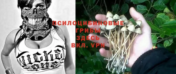 гашик Вязники