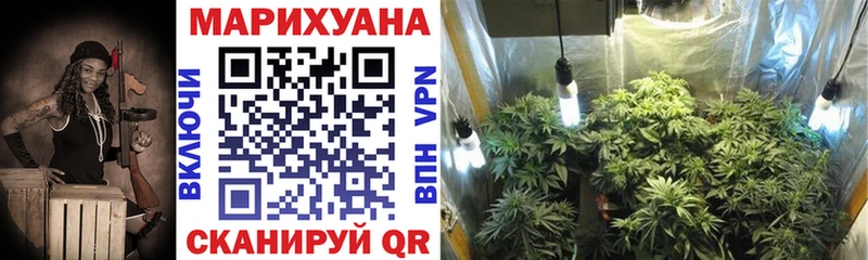 Конопля OG Kush  Добрянка 